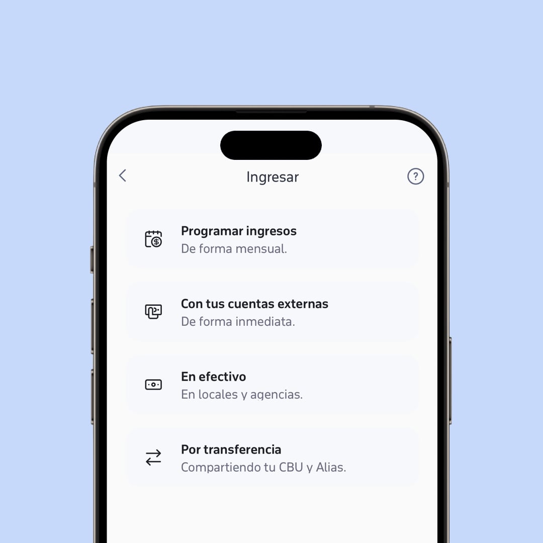 Imágen de la aplicación para ingresar plata.